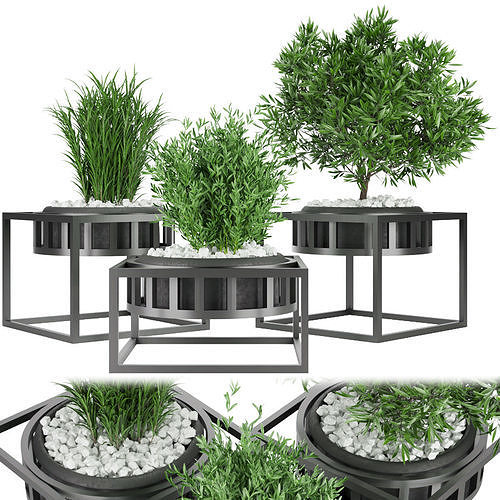 Collection plant vol 97 3D model