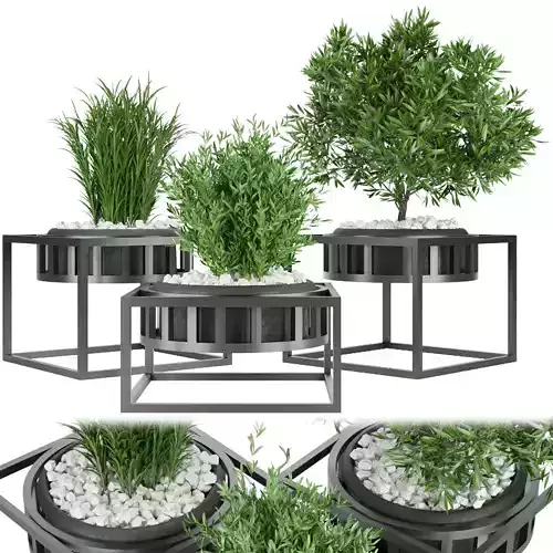 Collection plant vol 97 3D model