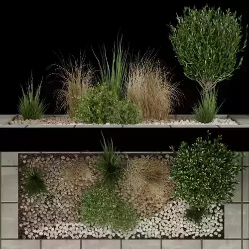 Collection plant vol 98 3D model