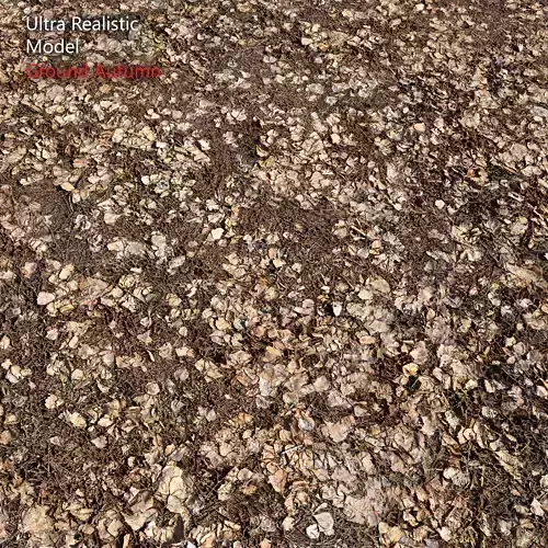 Ultra realistic Ground autumn 
