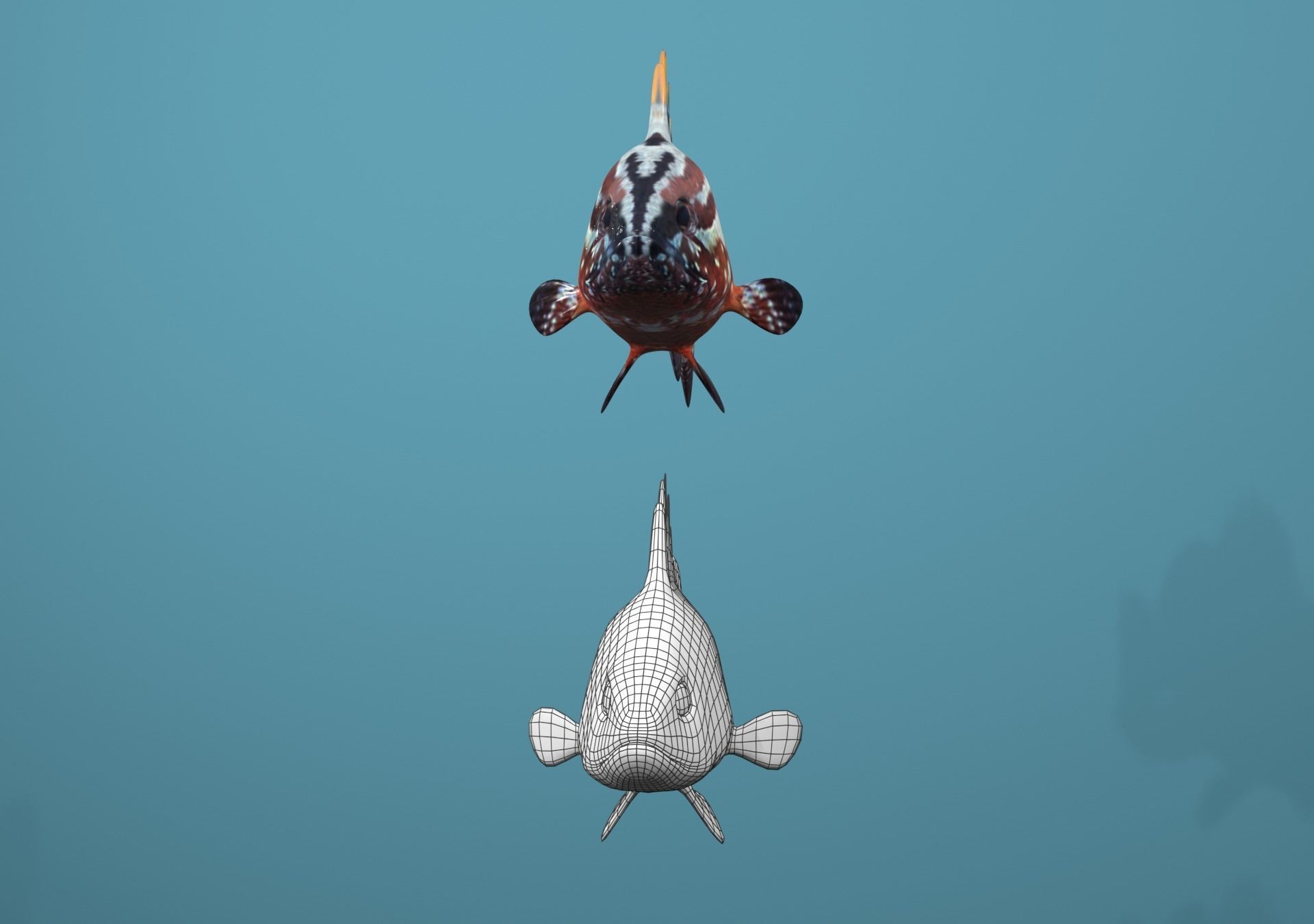 Nassau Grouper Low-poly 3D model_14