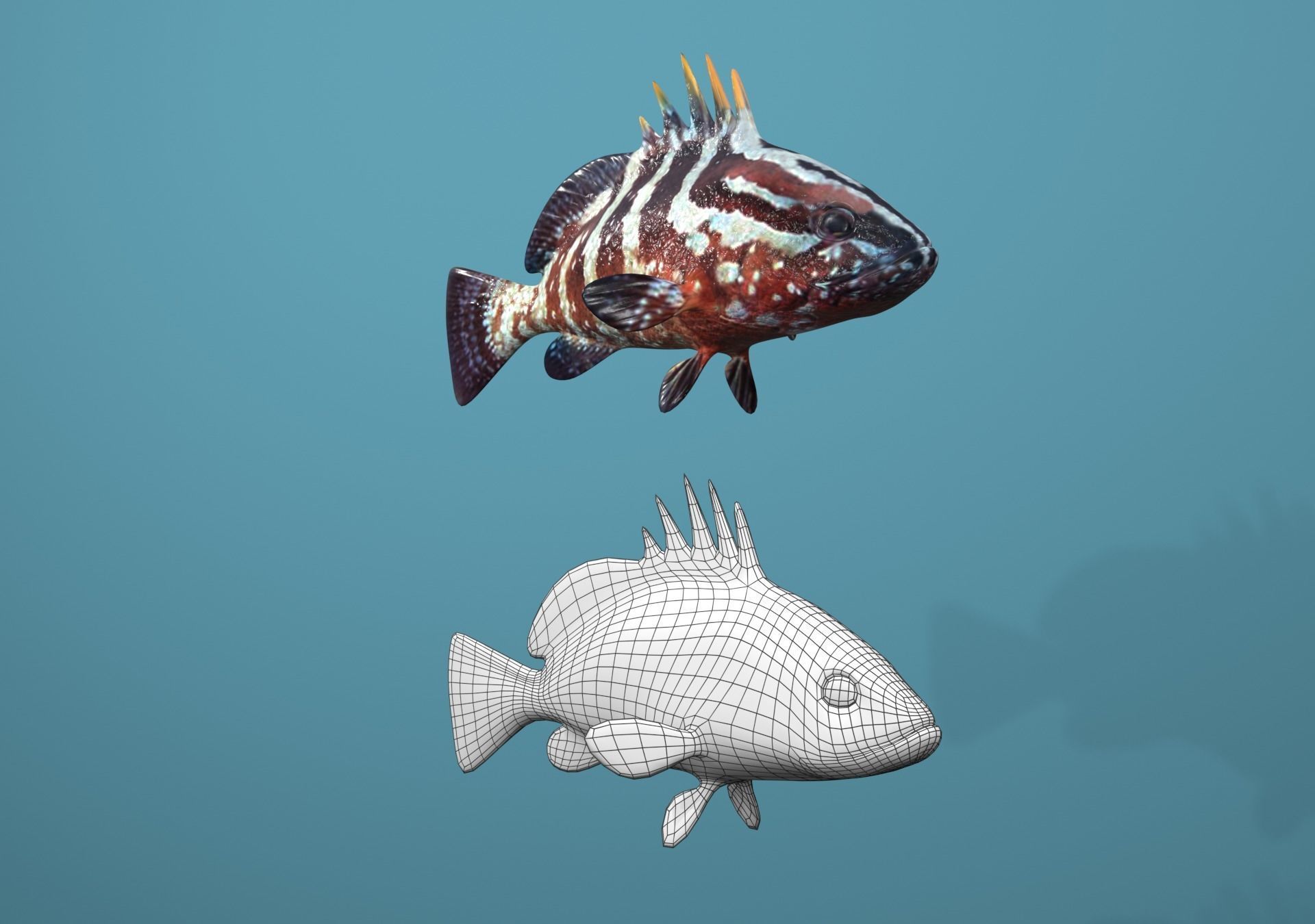 Nassau Grouper Low-poly 3D model_16