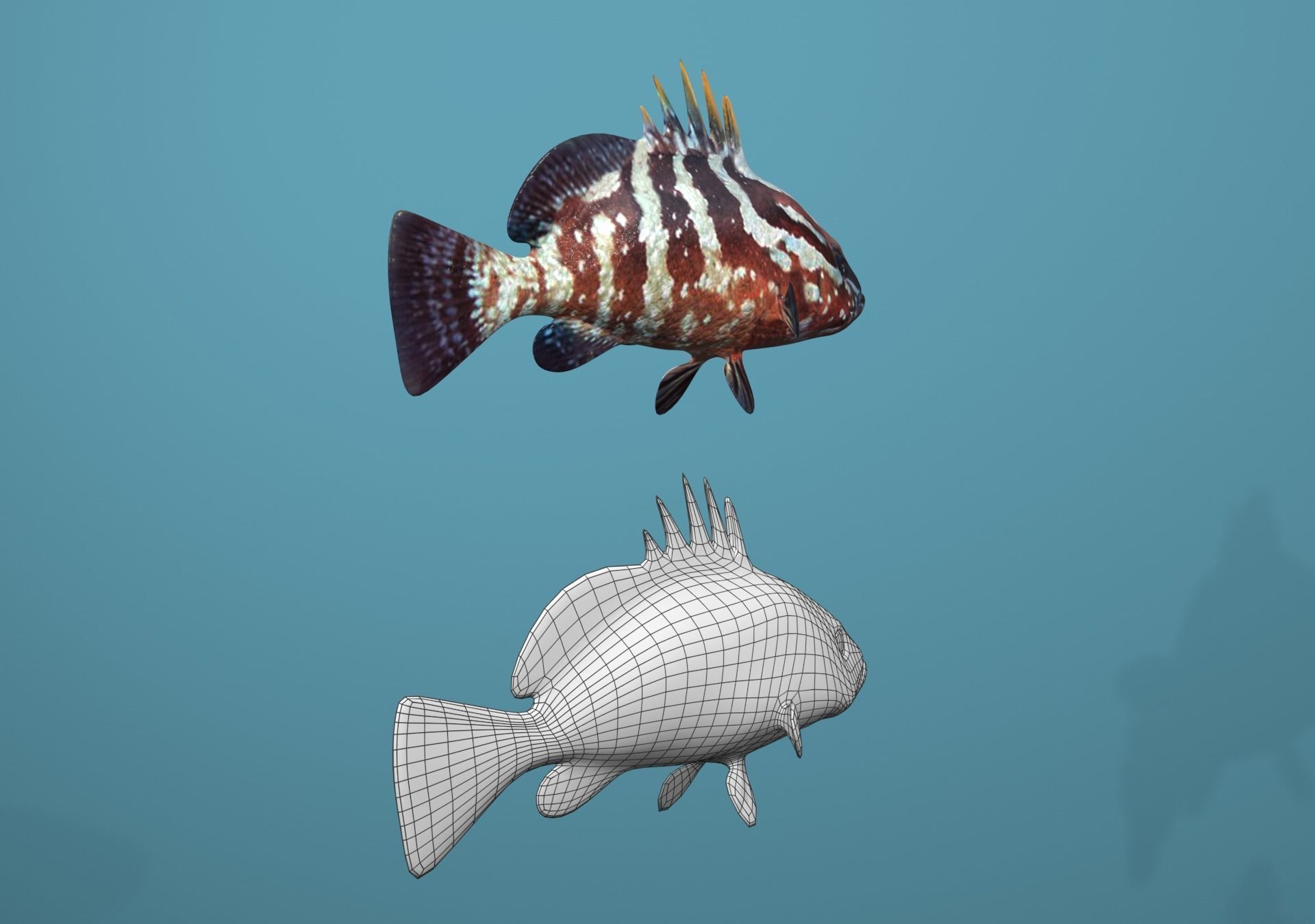 Nassau Grouper Low-poly 3D model_5