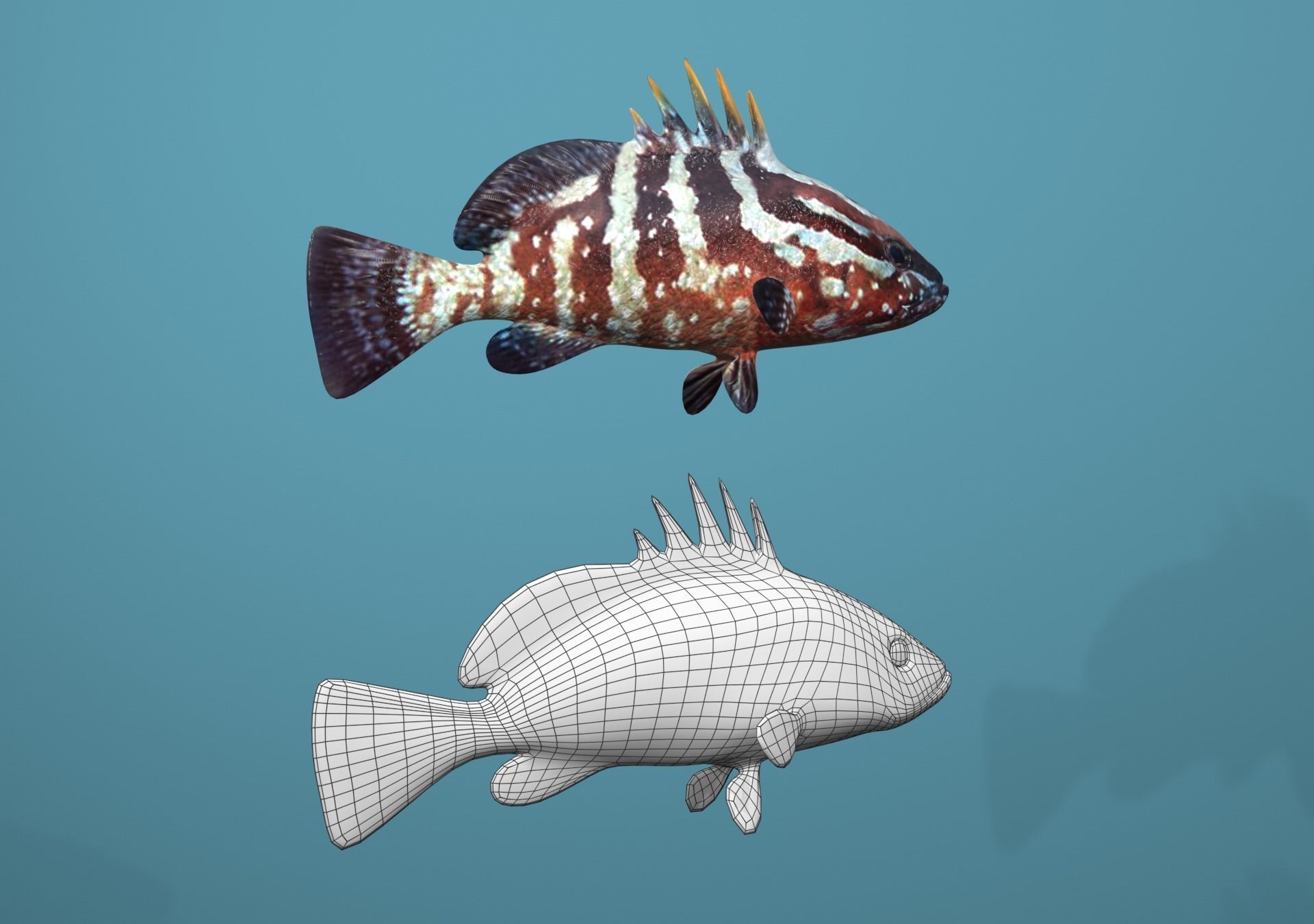 Nassau Grouper Low-poly 3D model_4