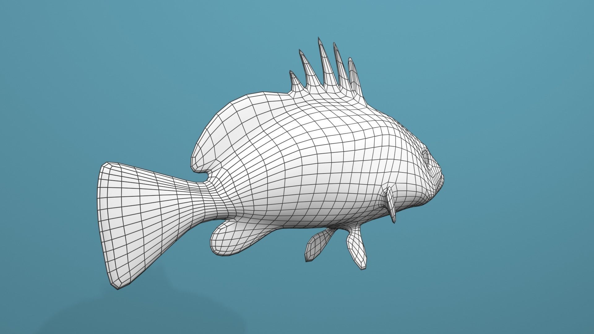 Nassau Grouper Low-poly 3D model_24