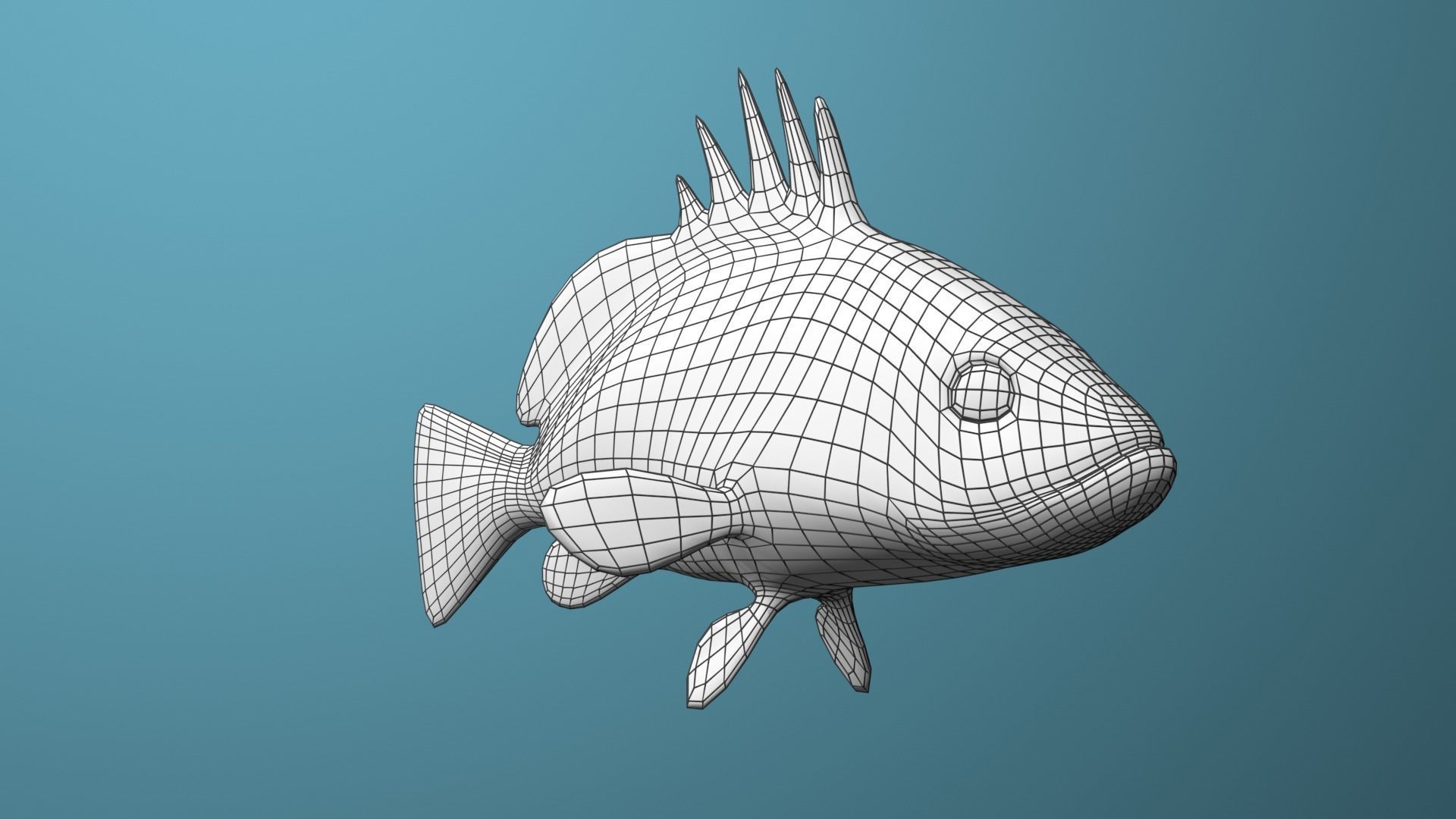 Nassau Grouper Low-poly 3D model_20