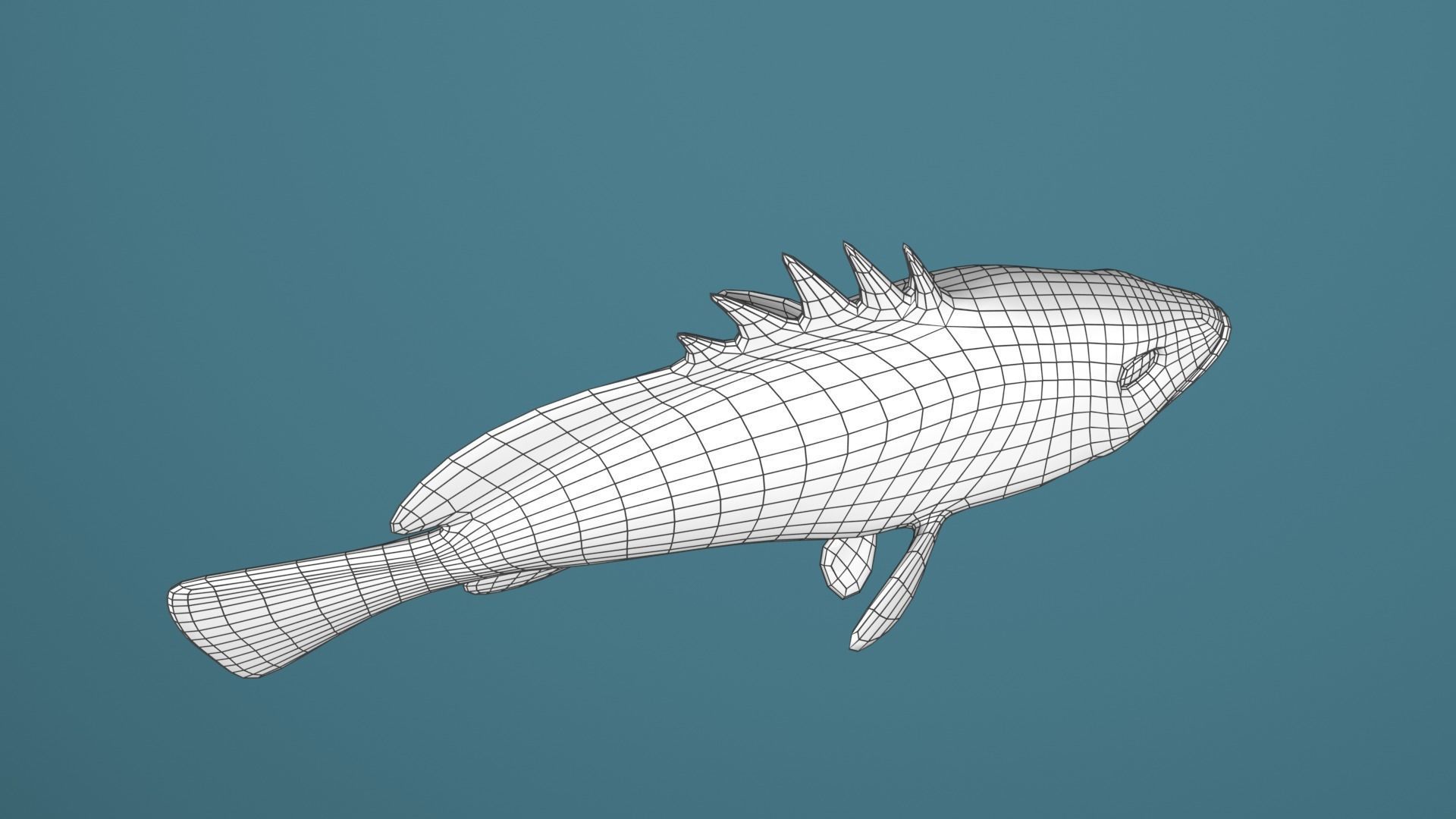Nassau Grouper Low-poly 3D model_26