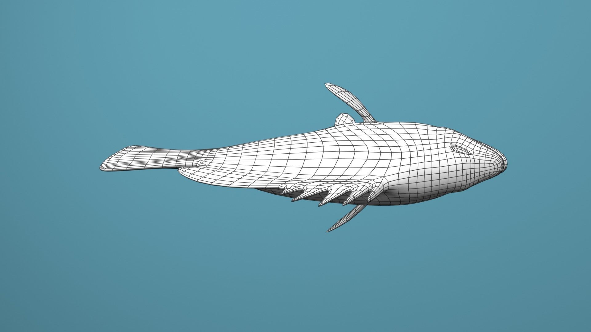 Nassau Grouper Low-poly 3D model_37