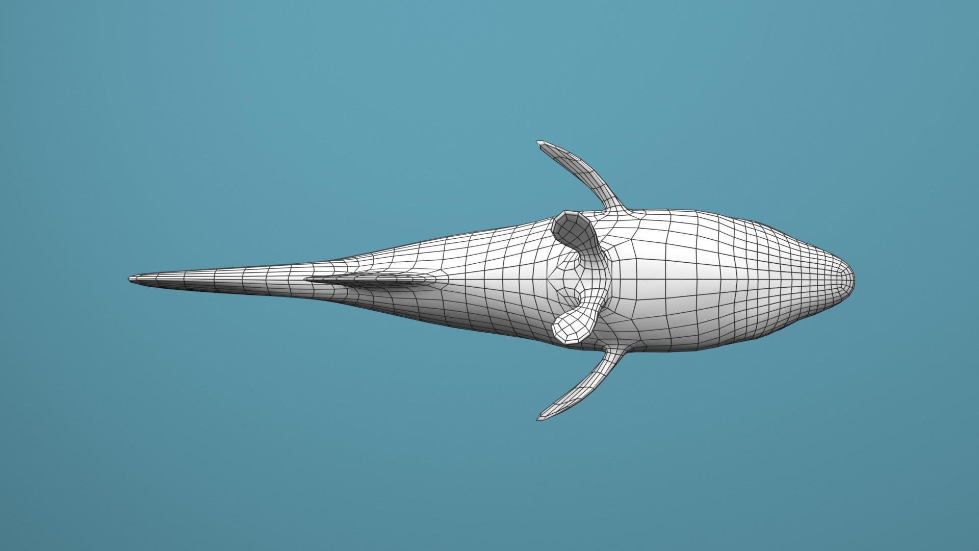 Nassau Grouper Low-poly 3D model_43