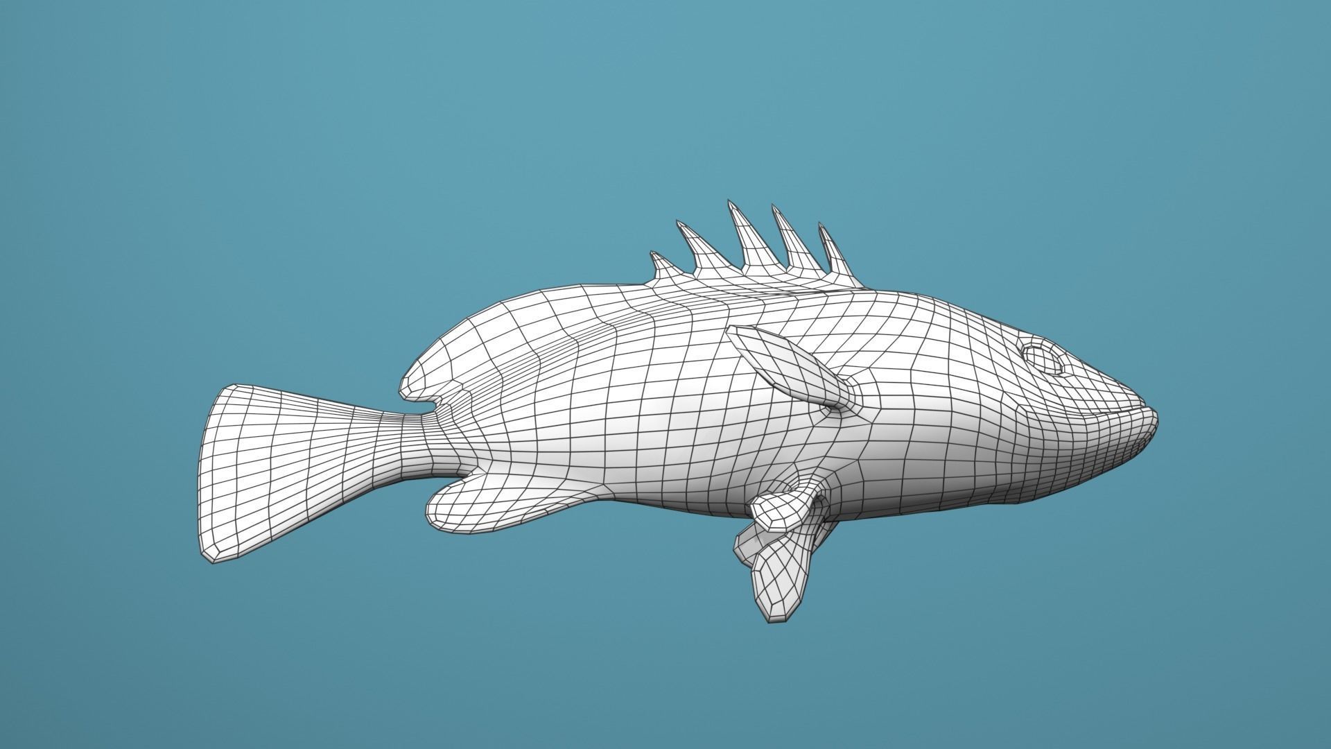 Nassau Grouper Low-poly 3D model_45