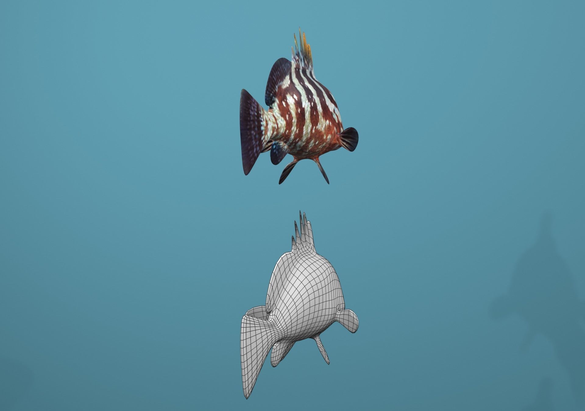 Nassau Grouper Low-poly 3D model_6