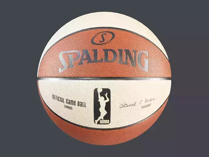 WNBA Spalding Basketball PBR