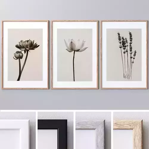 Photo Frames Set  259