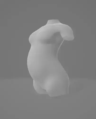 Pregnant Woman Torso