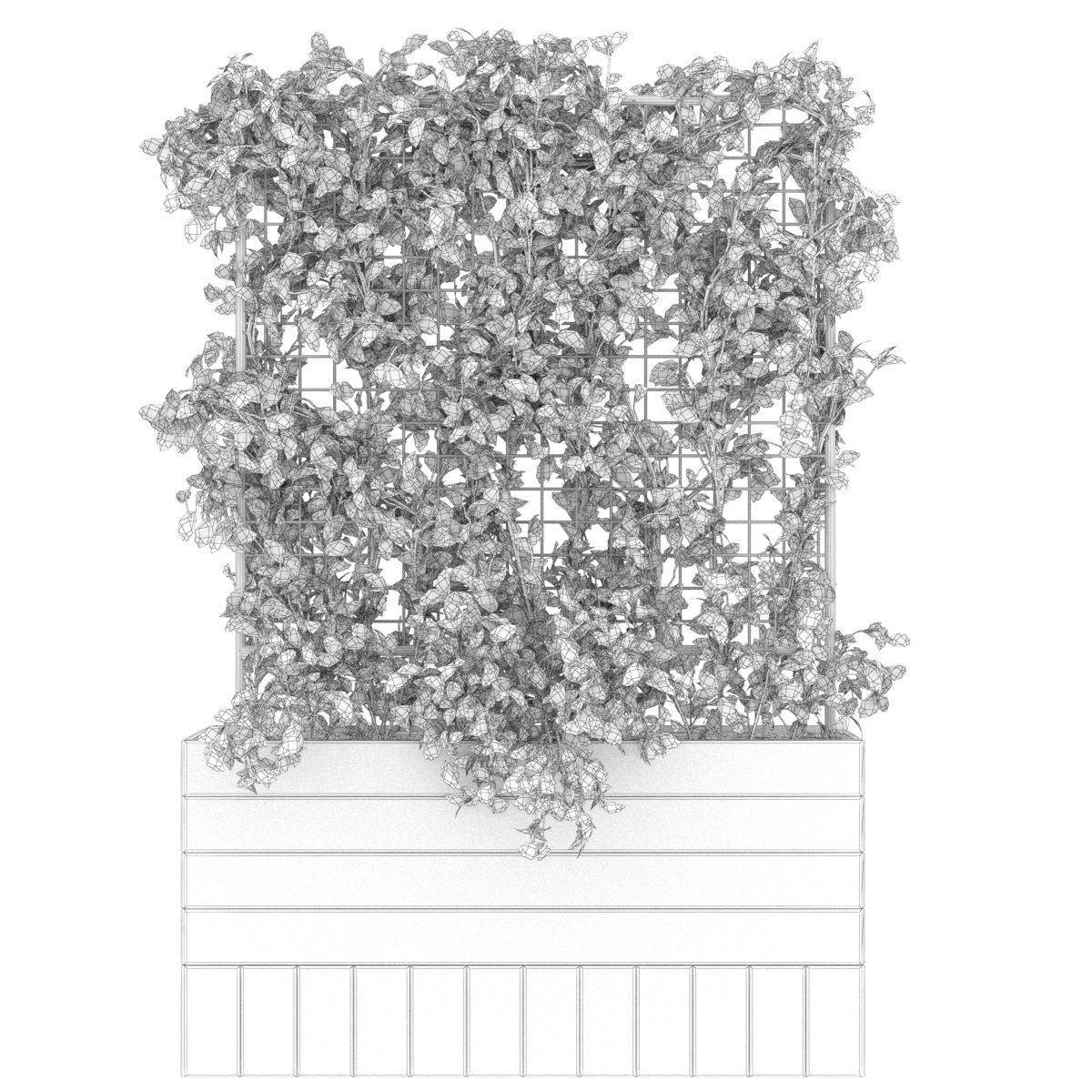 Collection plant vol 102 3D model_2