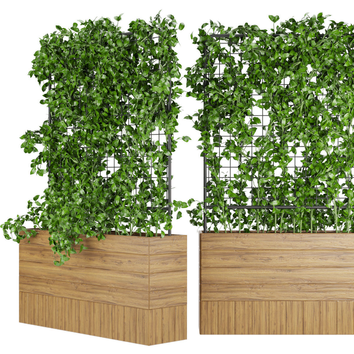 Collection plant vol 102 3D model_1