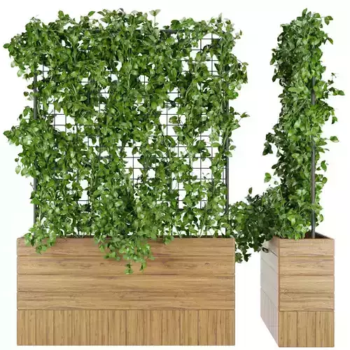 Collection plant vol 102 3D model