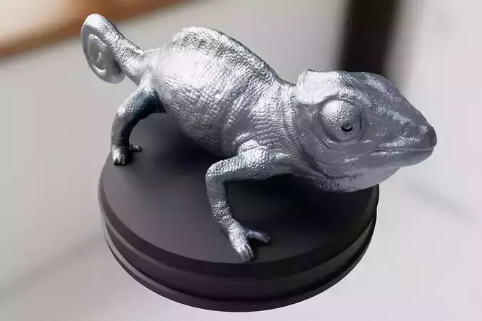 Silver Chameleon