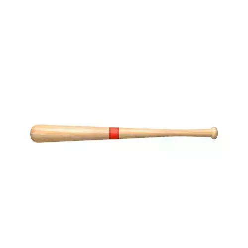 Baseball Bat