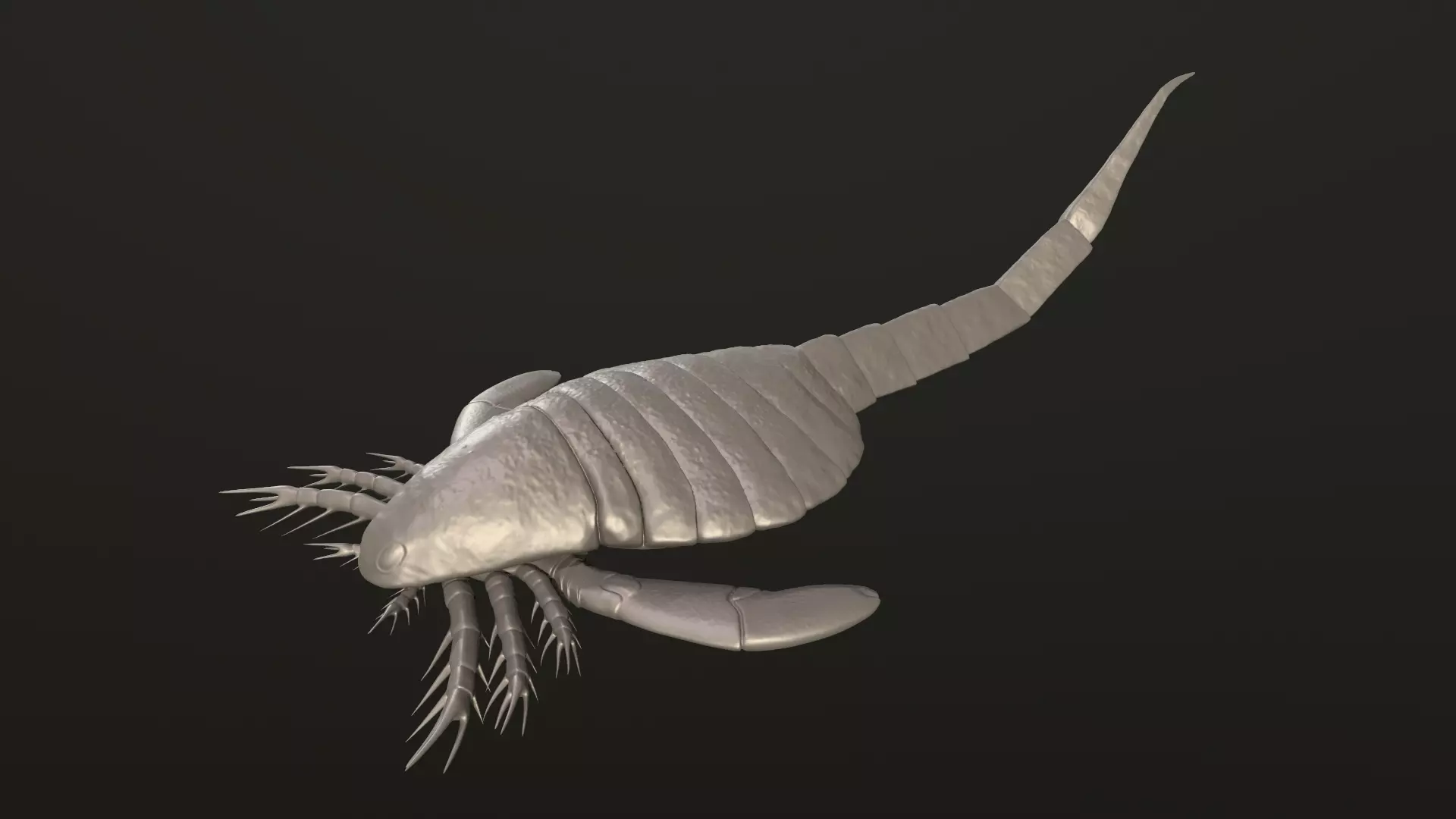 Carcinosoma  3D print model_0