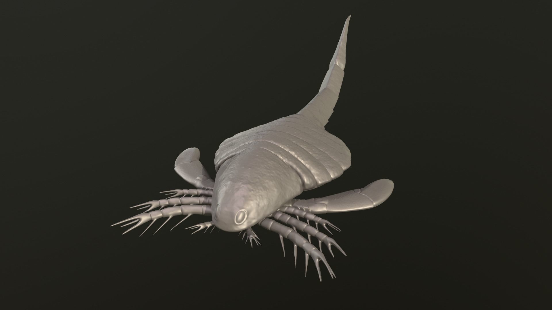 Carcinosoma  3D print model_2