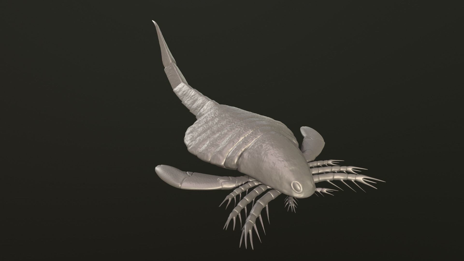 Carcinosoma  3D print model_3