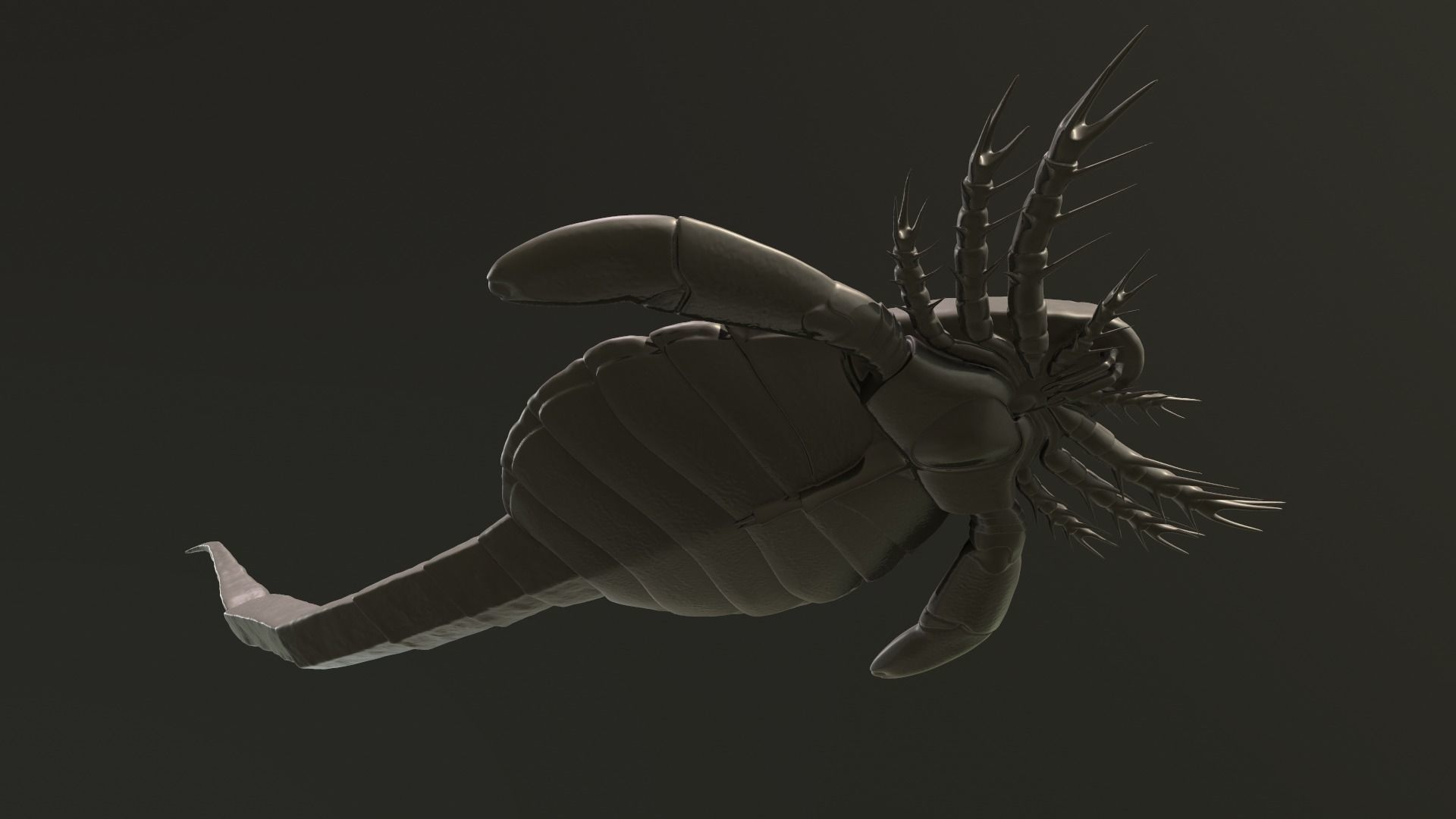 Carcinosoma  3D print model_5