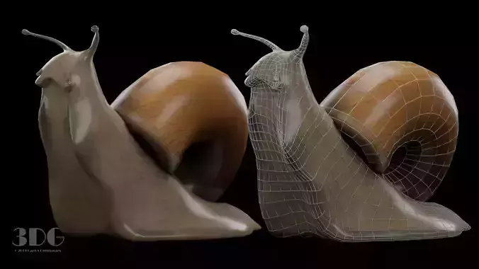 Snail Low-poly 3D model