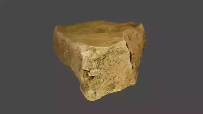 Roman rooftile wit footprint of a dog