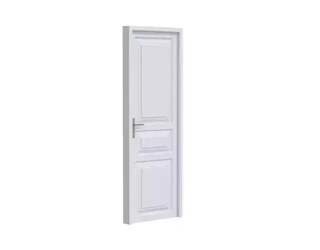Single Door with molds and frame