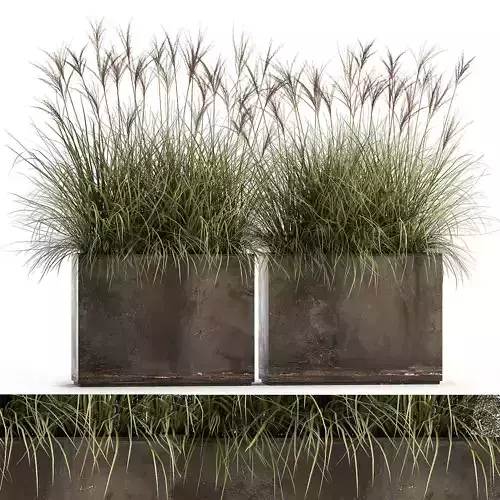 Reeds in a rusty flower pot for the interior 933