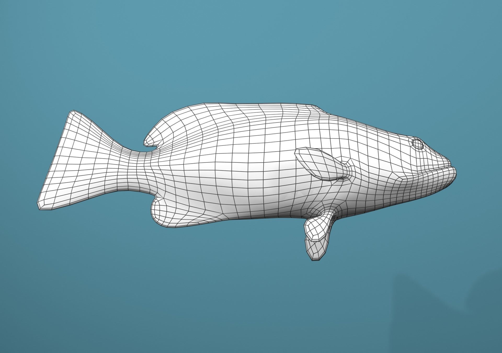Tiger Grouper Low-poly 3D model_36