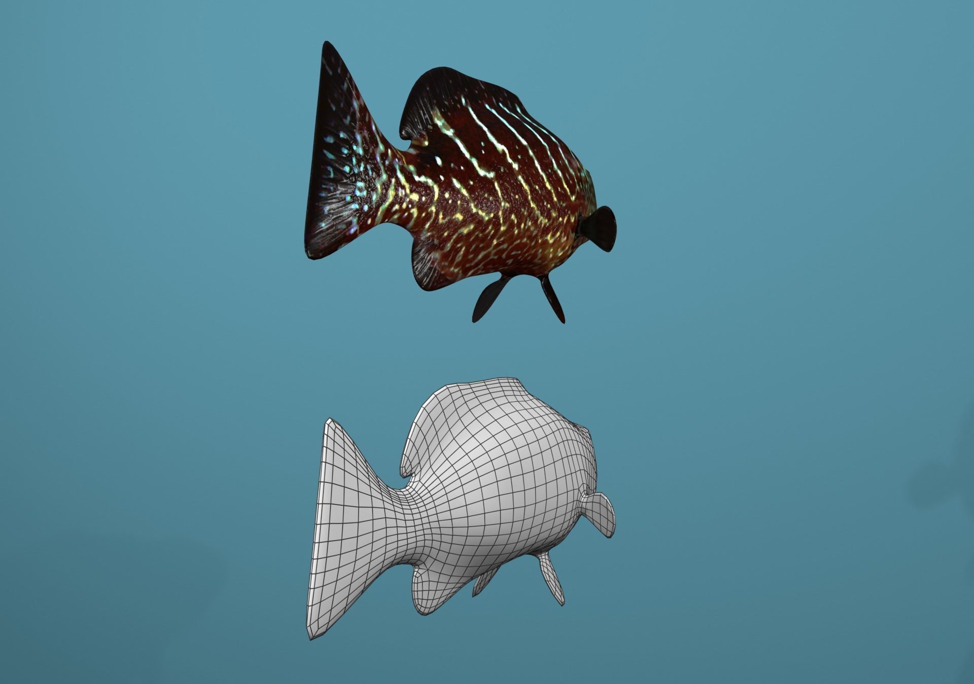 Tiger Grouper Low-poly 3D model_6