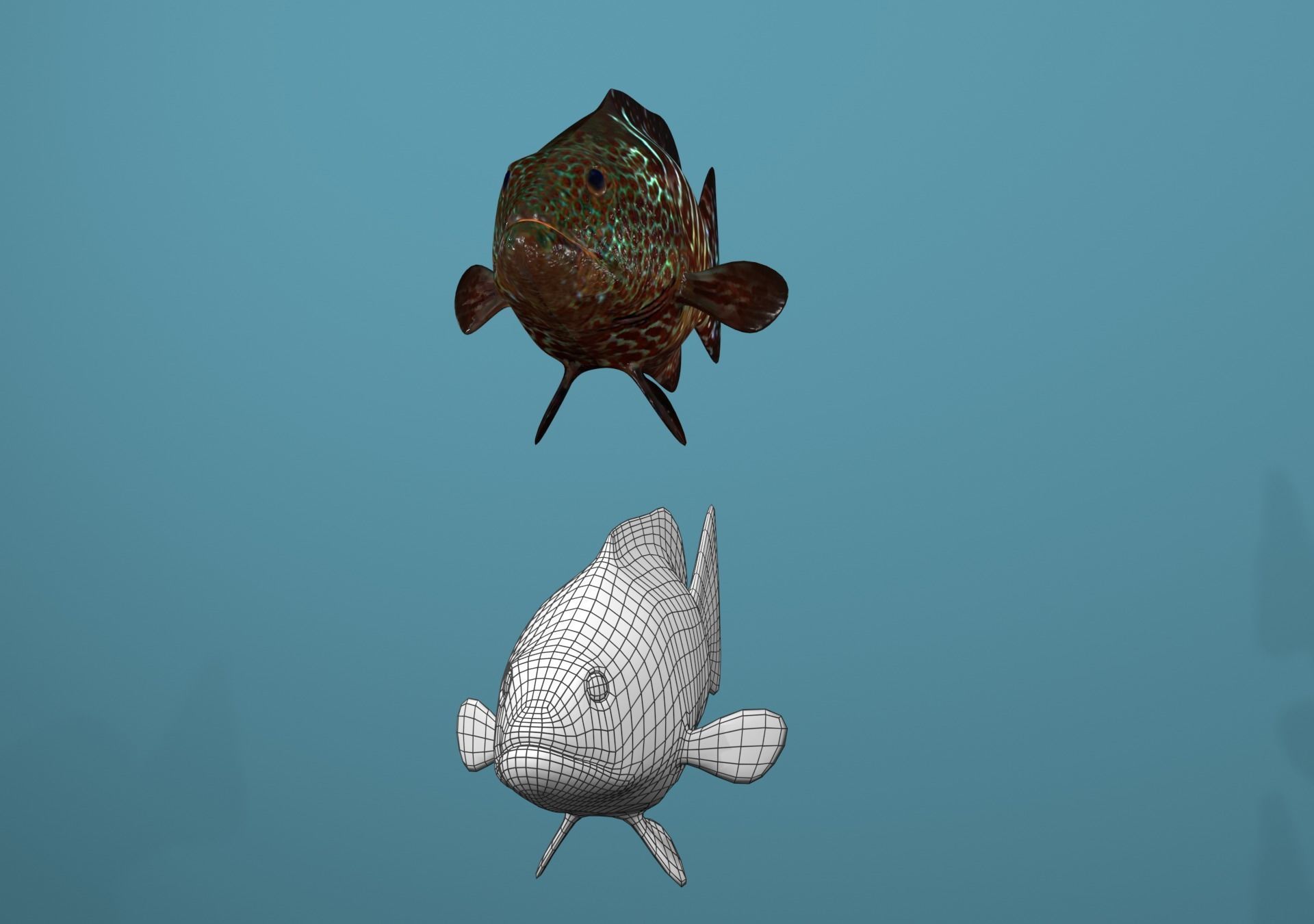 Tiger Grouper Low-poly 3D model_14
