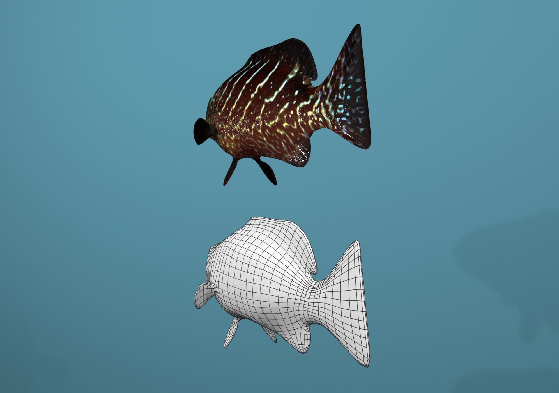 Tiger Grouper Low-poly 3D model_8