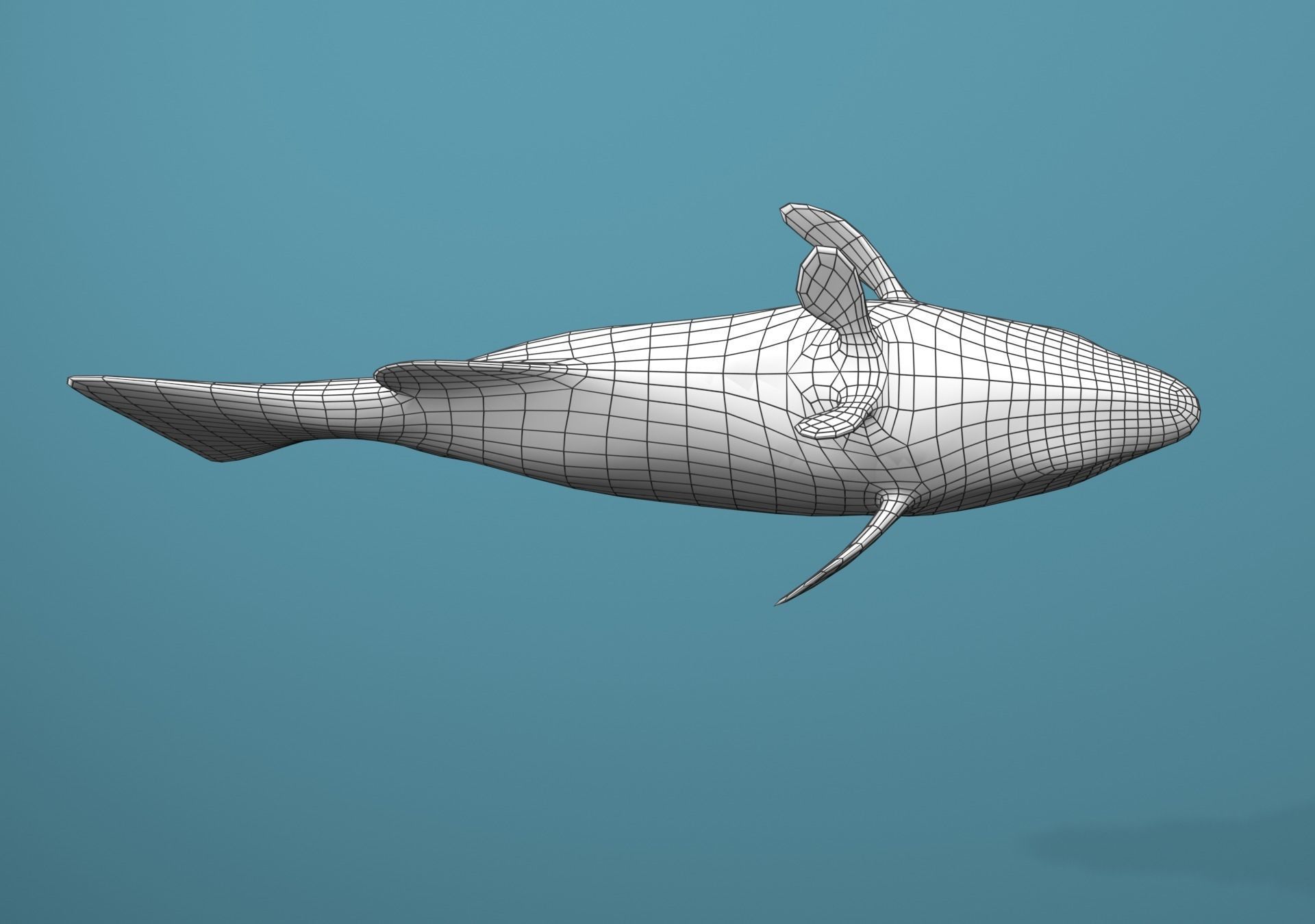 Tiger Grouper Low-poly 3D model_32