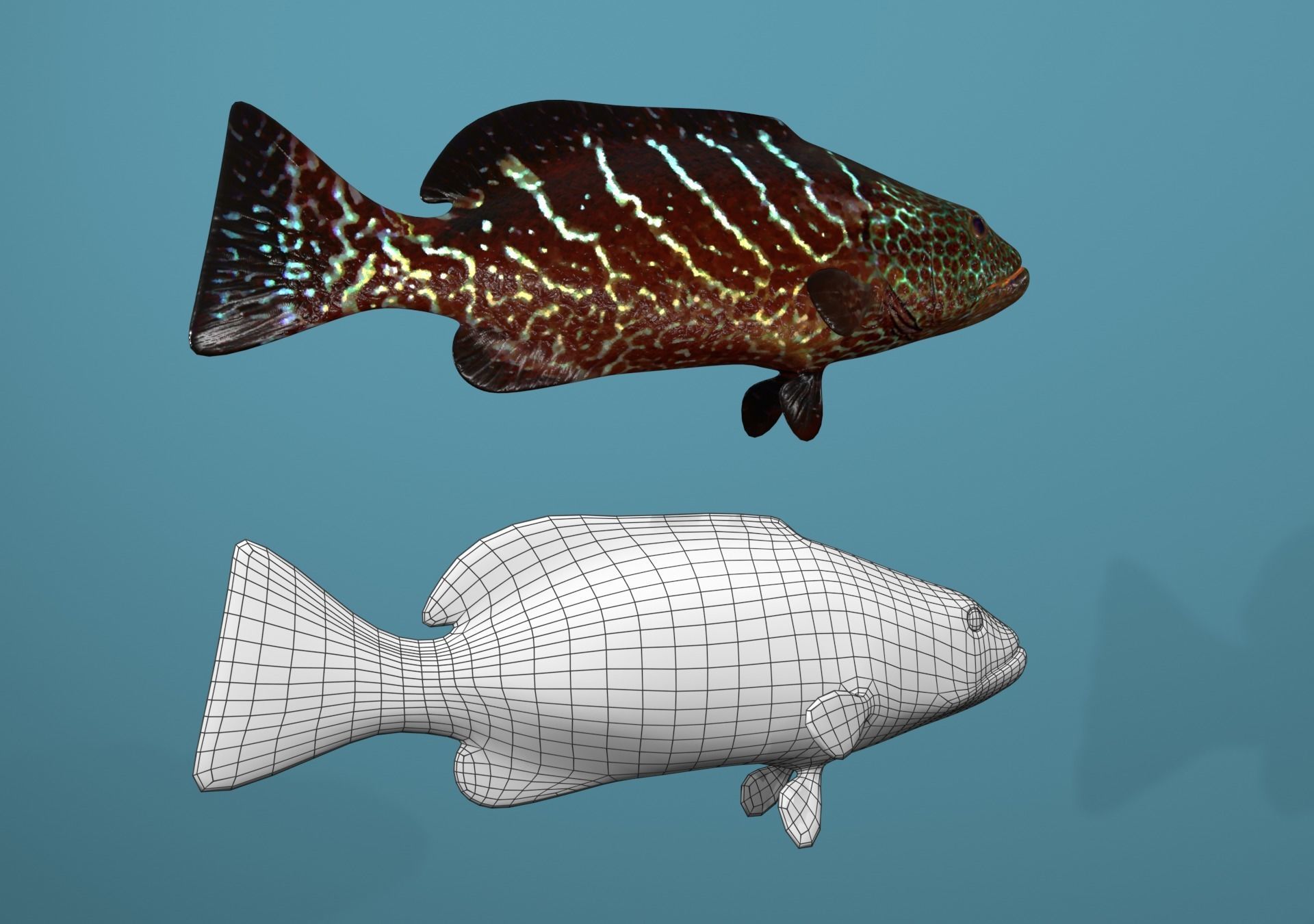 Tiger Grouper Low-poly 3D model_4
