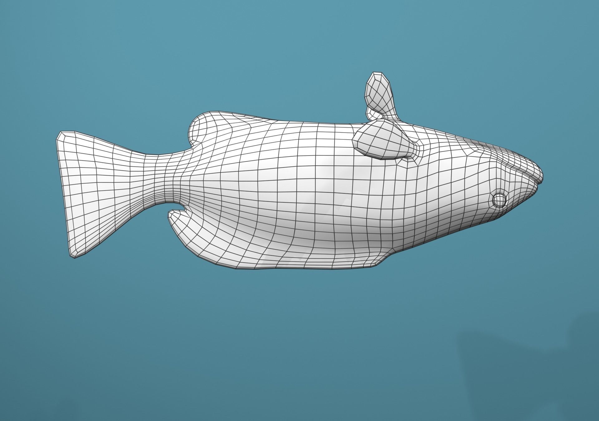 Tiger Grouper Low-poly 3D model_28