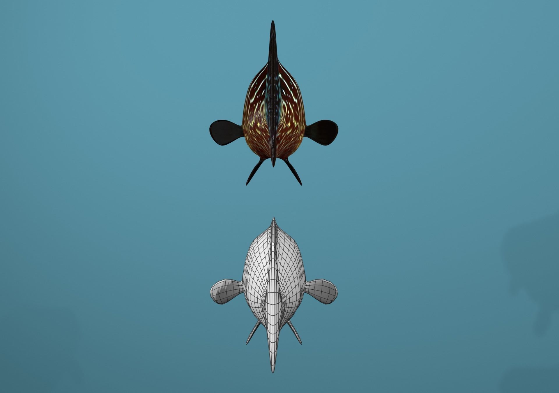 Tiger Grouper Low-poly 3D model_7