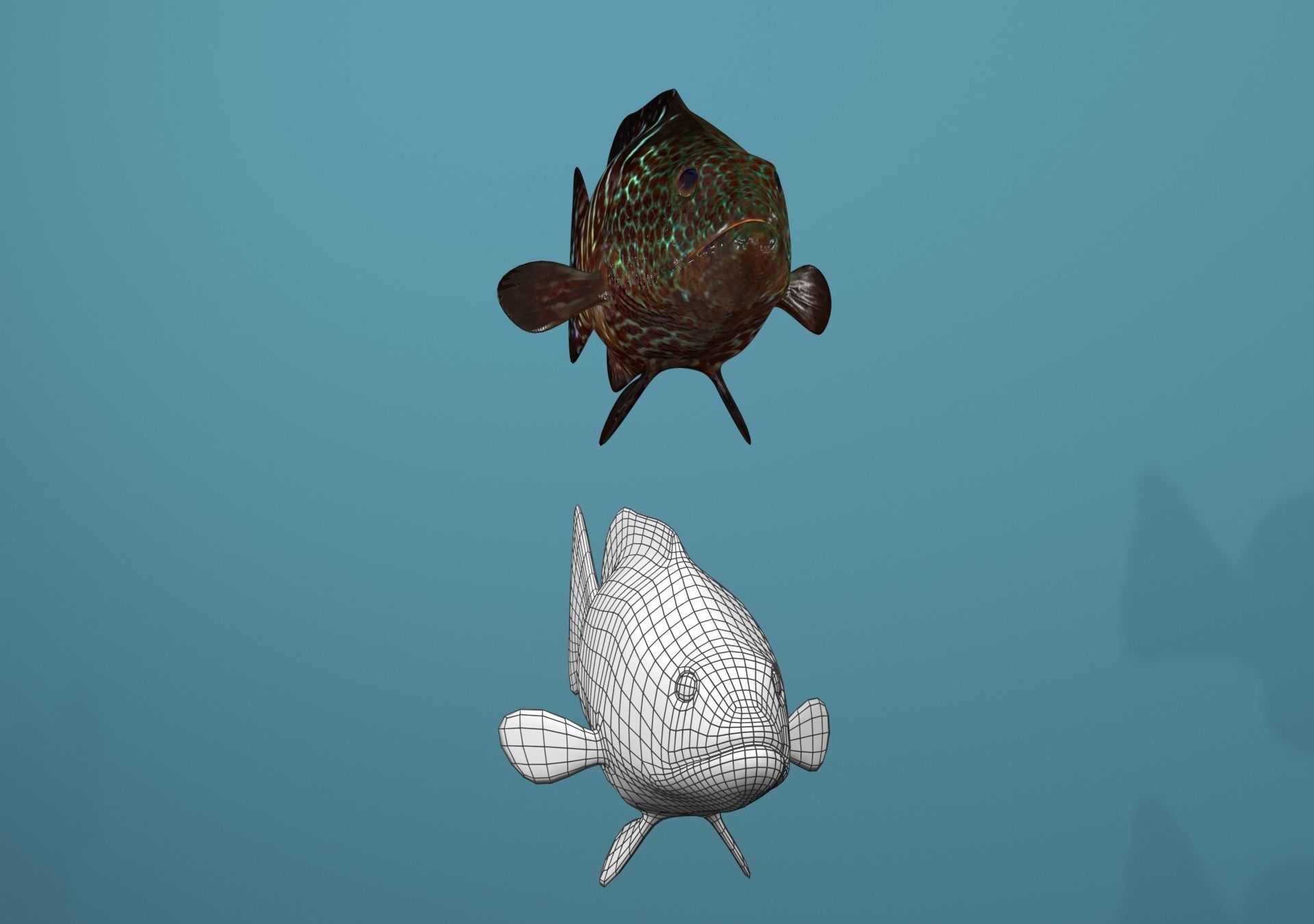 Tiger Grouper Low-poly 3D model_15