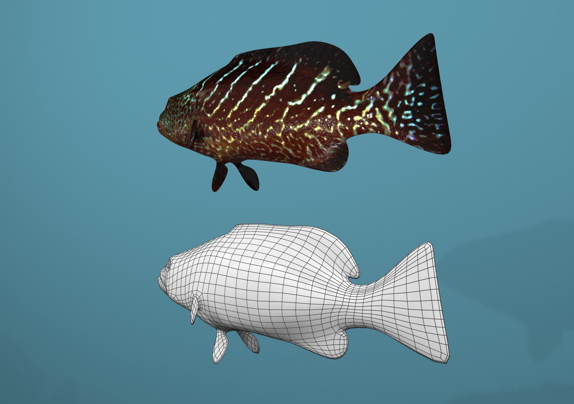 Tiger Grouper Low-poly 3D model_9