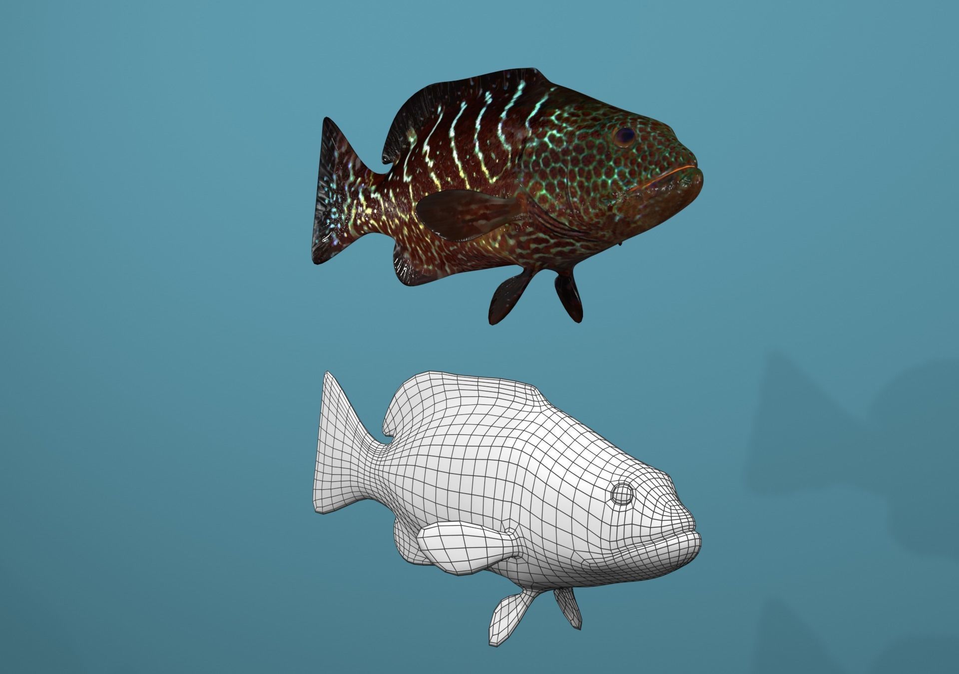 Tiger Grouper Low-poly 3D model_16