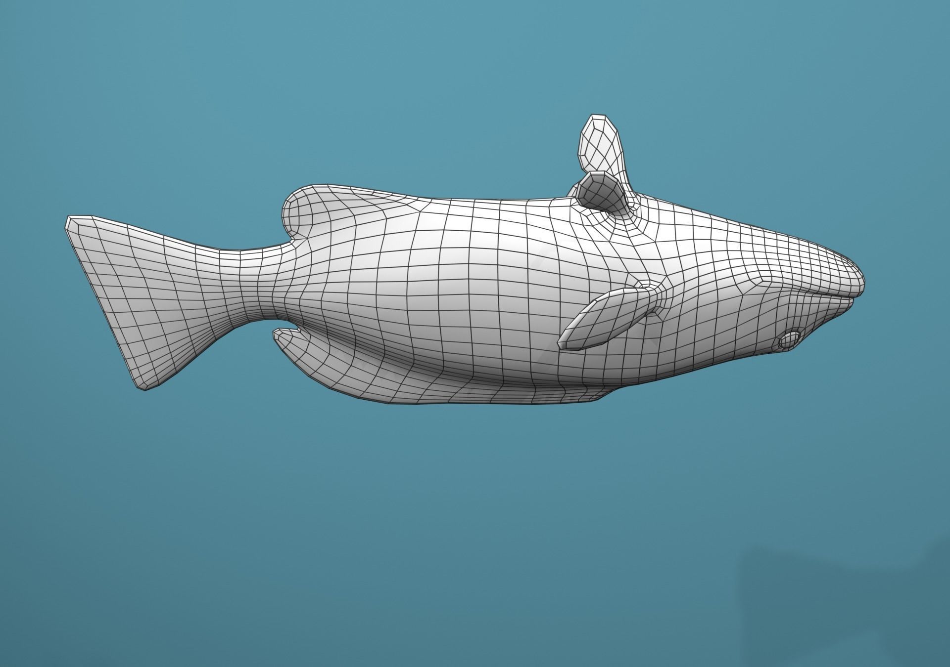 Tiger Grouper Low-poly 3D model_30
