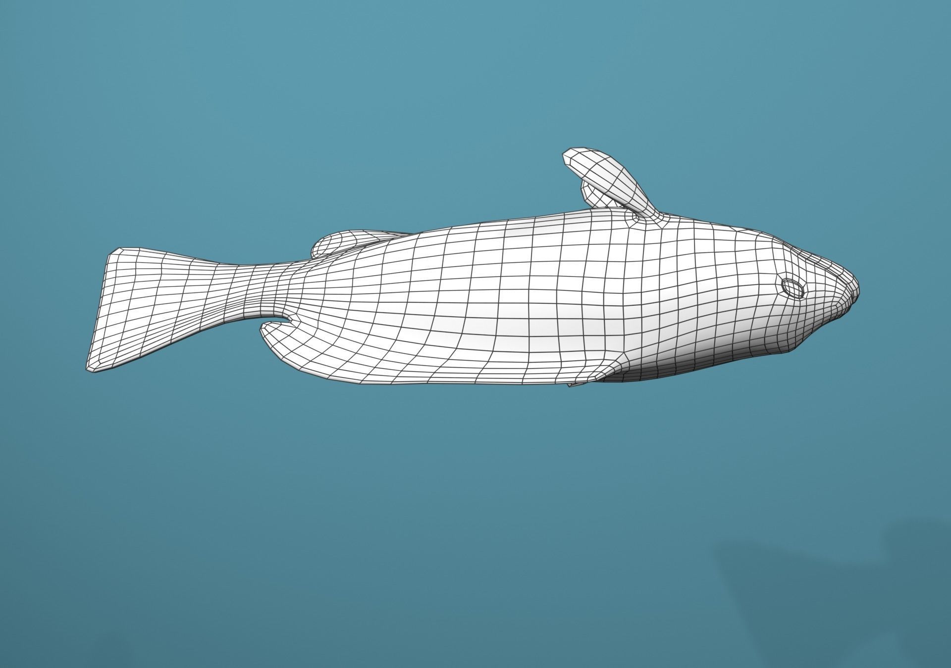Tiger Grouper Low-poly 3D model_26