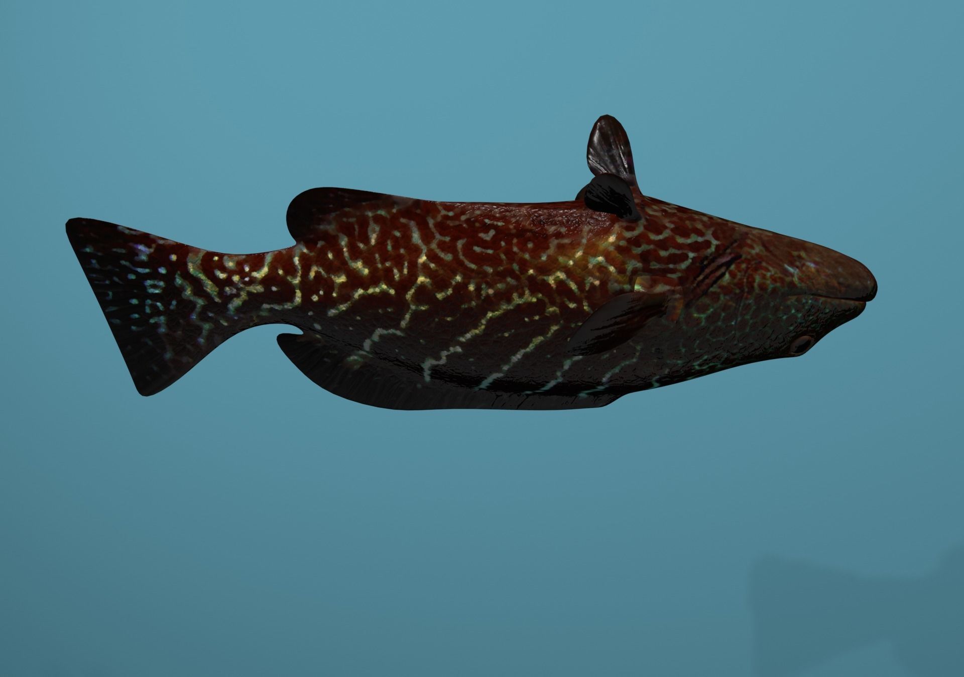 Tiger Grouper Low-poly 3D model_29