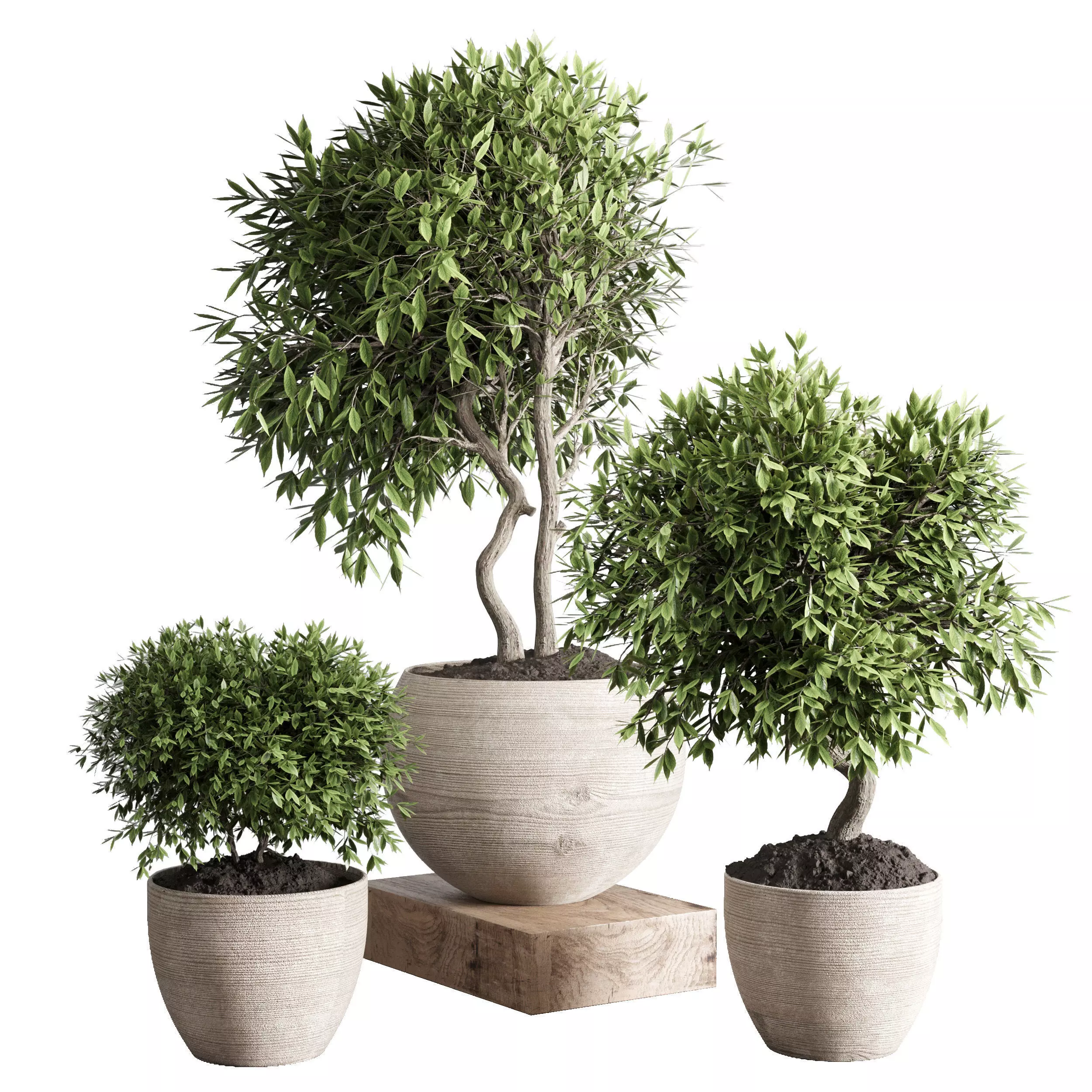 collection outdoor plant 23 - wood old vase Low-poly 3D model