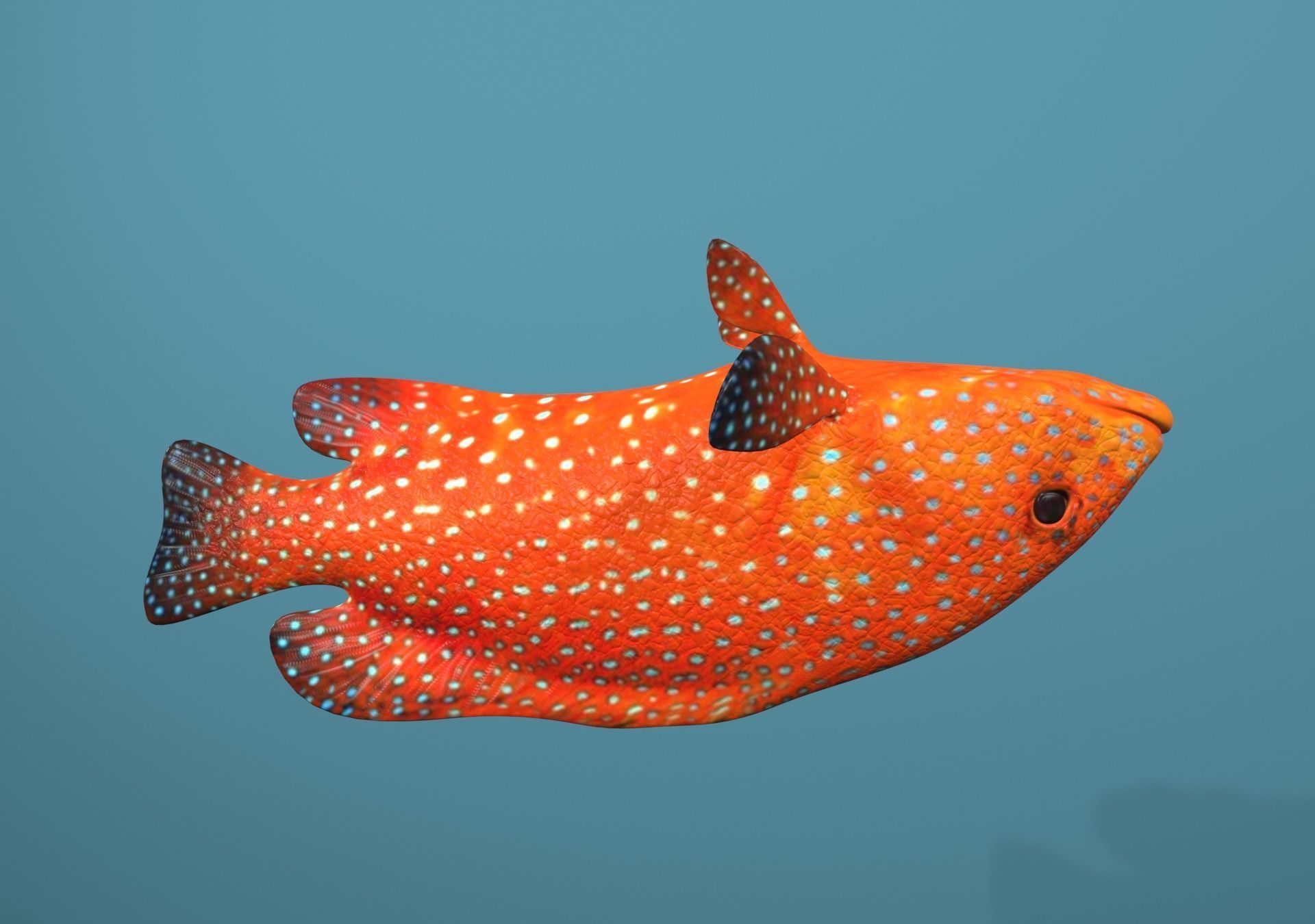 Roving Coral Grouper Low-poly 3D model_25