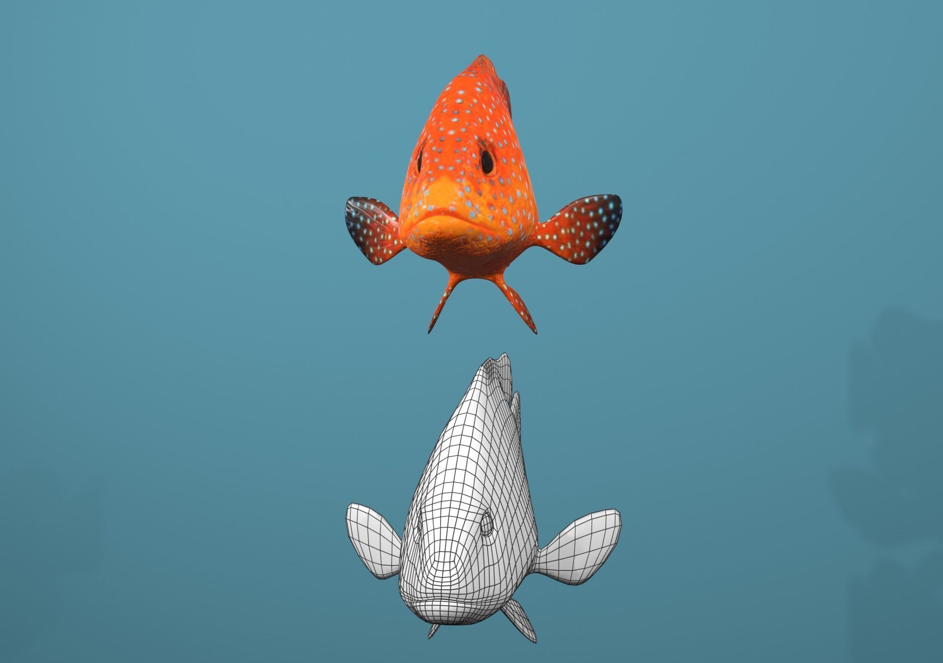 Roving Coral Grouper Low-poly 3D model_14