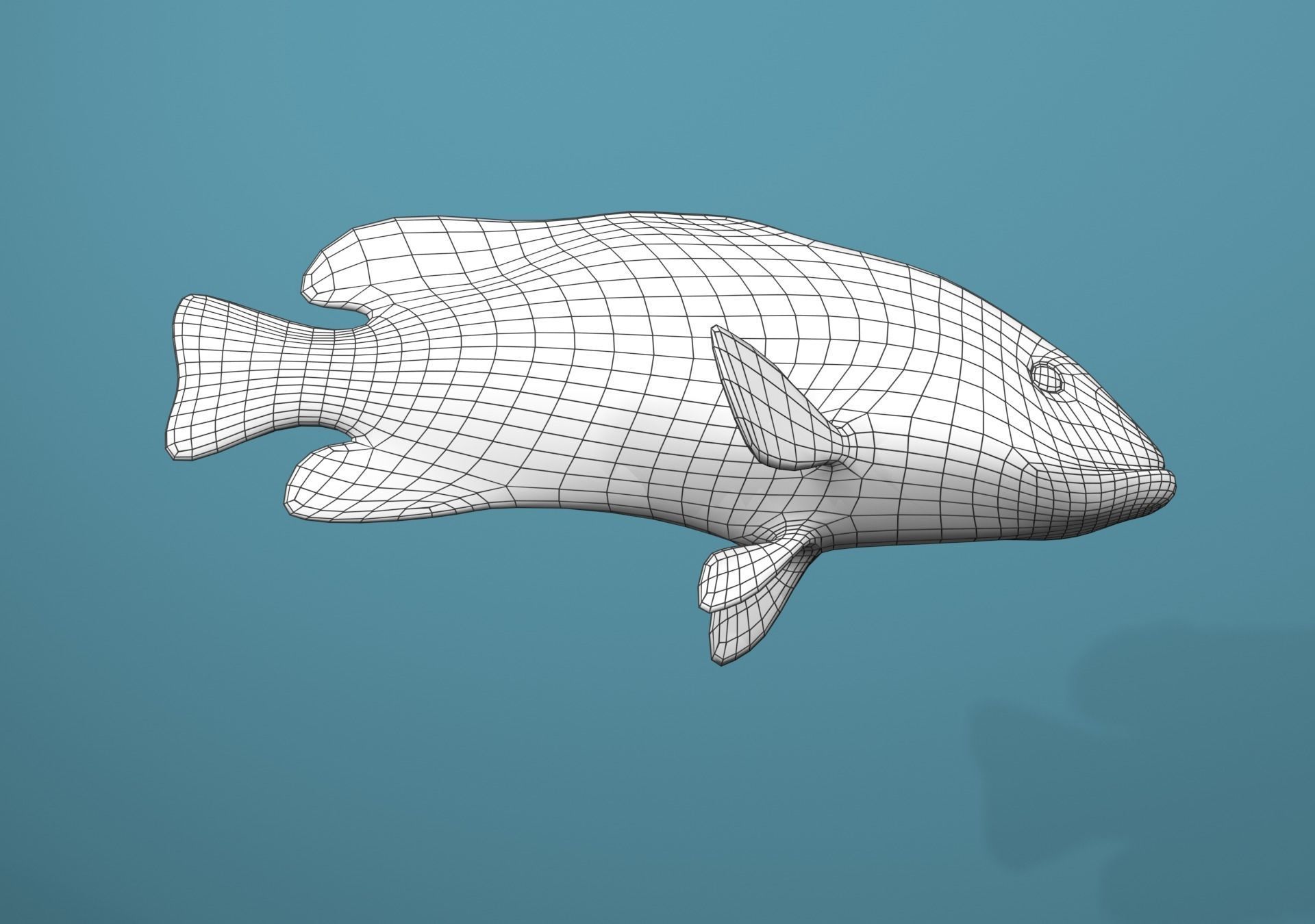 Roving Coral Grouper Low-poly 3D model_33