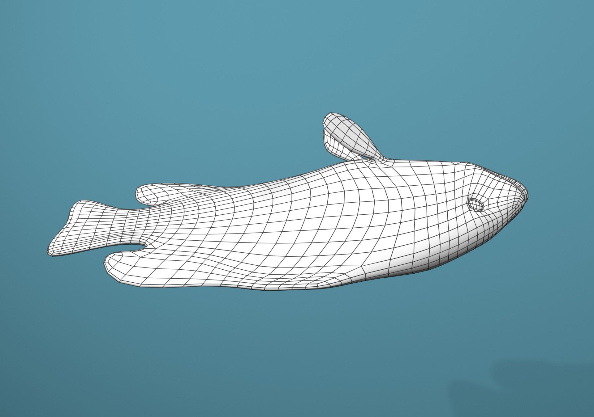 Roving Coral Grouper Low-poly 3D model_24